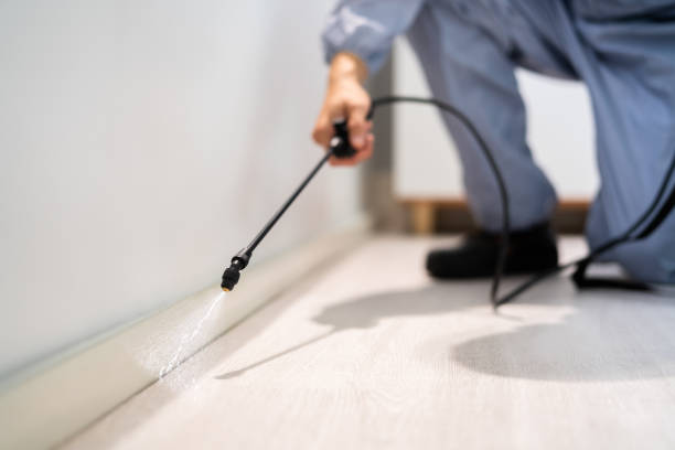 Licensed Termite Control service in Franklin, KY - Nex Pest Control