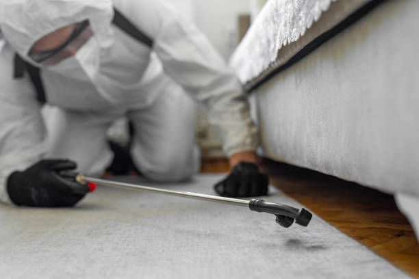Professional Termite Control technician working in Franklin, KY