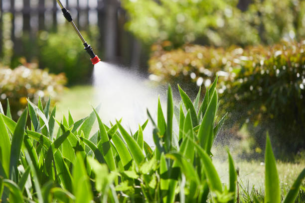 24/7 Emergency Termite Control experts in Franklin, KY