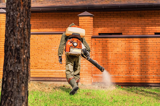 Top rated local Termite Control specialists in Franklin, KY